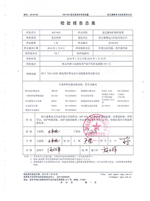 综保检验报告总结4